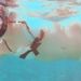 Profile Picture of Ariel Treadway (@arielnichole) on Pinterest