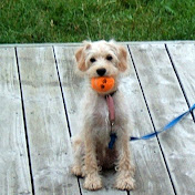 Profile Picture of Karin Larsen (@123kaura) on Youtube