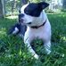 Profile Picture of Wilson Connor (@wilson.connor.37) on Facebook