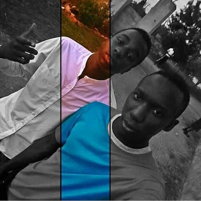 Profile Picture of Bob_Barry (@theRealBobBarry) on Twitter