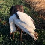 Profile Picture of Briley Craig (@briley_craig66) on Instagram