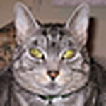 Profile Picture of Patrick Knotts (@pmknotts@verizon.net) on Flickr