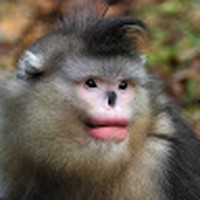 Profile Picture of Dylan Guzman (@dylan-guzman-33) on Quora