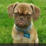 Profile Picture of Jake Minter (@houston_rasberry) on Instagram