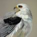 Profile Picture of David Shipley (@david.shipley.3975) on Facebook