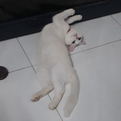 Profile Picture of Tát ▪~Tát♡ (@CaoNgcMinhTm3) on Twitter