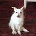 Profile Picture of Thomas Glascock (@thomas.glascock.581) on Facebook