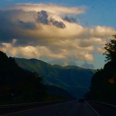 Profile Picture of Robin Allen (@theoldslipper) on Twitter