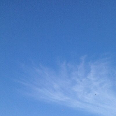 Profile Picture of Peter Francois (@PeterFrancois) on Twitter