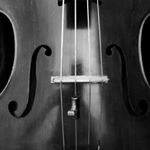 Profile Picture of Travis Geisler (@radtrav_music) on Instagram