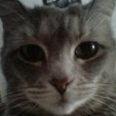 Profile Picture of Anne Fratto (@trim_mode) on Twitter