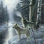 Profile Picture of Timothy L Chaney (@timothy.l.chaney) on Instagram