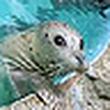 Profile Picture of Kevin Blakely (@Kevin Blakely) on Flickr