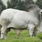 Profile Picture of Adad Castillo Angel (@adad.castillo.angel.2025) on Facebook