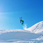 Profile Picture of David Gerstgraser (@dgerstgraser) on Instagram