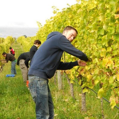 Profile Picture of Joe Swords (@wineguy_joe) on Twitter