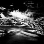 Profile Picture of Addison Robinson (@addisonrobinson) on Instagram