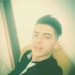 Profile Picture of alan shayer (@shayeralan) on Instagram