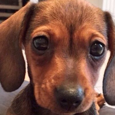 Profile Picture of thomasphilips (@thomasphilips) on Tiktok