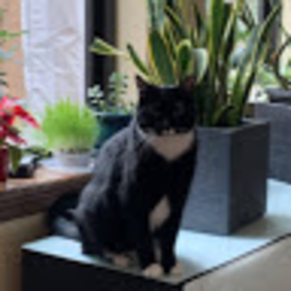 Profile Picture of Sandra Gabric (@sandronija19) on Poshmark