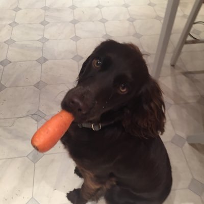 Profile Picture of Chris Cardwell (@ccardwelluk) on Twitter