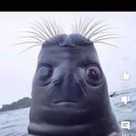 William Mcknight - Instagram Profile Picture of William Mcknight (@william.mcknight.73932) on Instagram