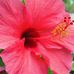 Profile Picture of Cindy TapperHansen (@cindy.tapperhansen.5) on Facebook