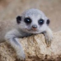 Profile Picture of Daniel Glorioso (@daniel-glorioso-3) on Quora