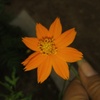 Profile Picture of Rajesh dubey (@@rajesh_02rp) on Tiktok