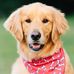 Profile Picture of David Fletcher (@david.fletcher.1217727) on Facebook