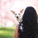 Profile Picture of Audra Anlang (@meinekleinefellmilie) on Instagram