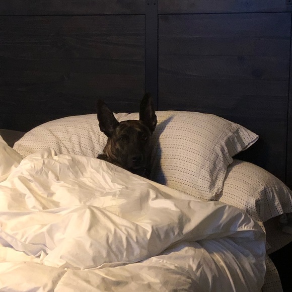 Profile Picture of Coryn Dold (@coryndold) on Poshmark