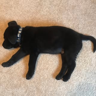 Profile Picture of Tim Boyle (@boyle_fergus) on Instagram