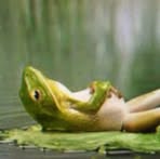 Steffen Kremser - Facebook Profile Picture of Steffen Kremser (@Steffen-Kremser) on Facebook