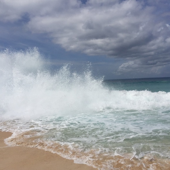 Profile Picture of Scott Roskind (@revvdess) on Poshmark