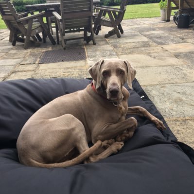 Profile Picture of Jim Wenham (@Jimspin74) on Twitter