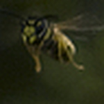 Profile Picture of Lisa Yates (@lisa yates2009) on Flickr