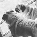 Profile Picture of austin gilbert (@austin_gilbert_524) on Instagram