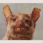 Profile Picture of Joey Graham (@joey_graham) on Instagram