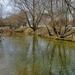 Profile Picture of tracie wallace (@traciewallace32) on Instagram