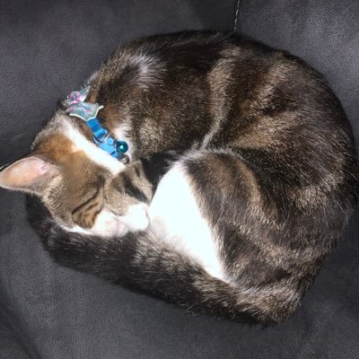 Profile Picture of Catherine Keating (@cathyk1966) on Twitter