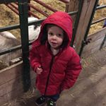 Profile Picture of Jim Forrest (@jim.forrest.125) on Instagram