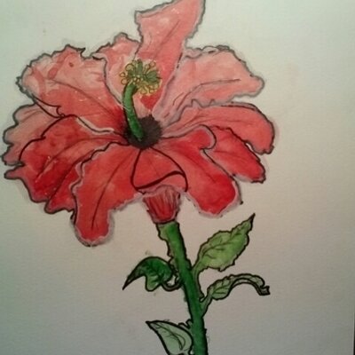 Profile Picture of Sharon OBrien (@sharon7670) on Twitter