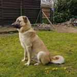 Profile Picture of Thomas Bredau (@bredauthomas) on Instagram