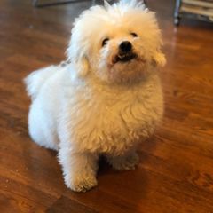 Profile Picture of Kathy Callaghan (@kathycallaghan) on Tiktok