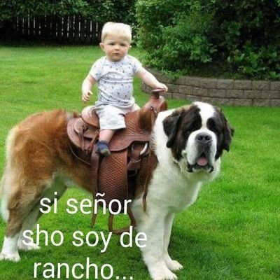 Profile Picture of Enrique Guzmán Rodrigues (@EnriqueGuzmnRo4) on Twitter