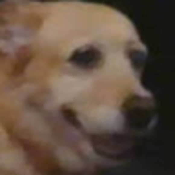 Profile Picture of Reid Davis (@reiddavis274) on Poshmark