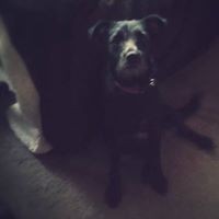 Profile Picture of Ralph Chambers (@ralph-chambers-6) on Quora