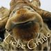 Profile Picture of Peter Mäder (@peter.mader.37) on Facebook