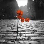 Profile Picture of Vincent Mazzone (@vincentmazzone) on Instagram